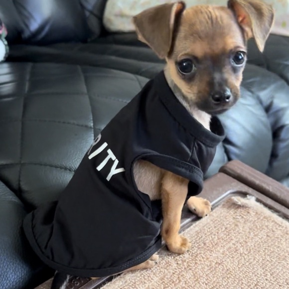 Meet Your Posher - Picture 3 of 16